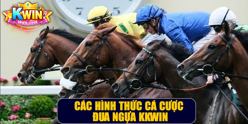 Các Hình Thức Cá Cược Đua Ngựa Kkwin