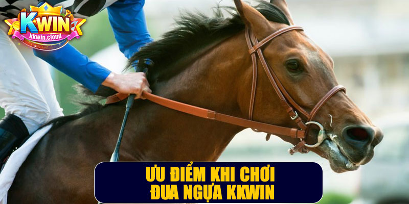 Ưu Điểm Khi Chơi Đua Ngựa Kkwin